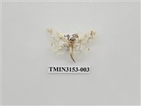 藏品(螟蛾304)的圖片